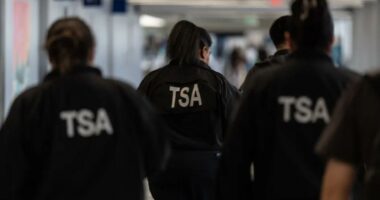 TSA workers will start seeing paychecks on Monday â thanks to Trump's order